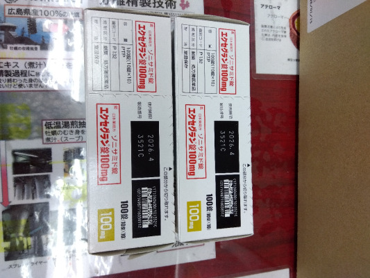 エクセグラン錠100mg