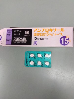 アンブロキソール塩酸塩錠15mg「トーワ」