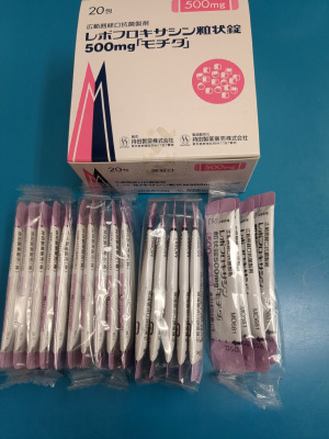 レボフロキサシン粒状錠500mg「モチダ」