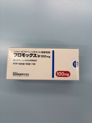 フロモックス錠100mg