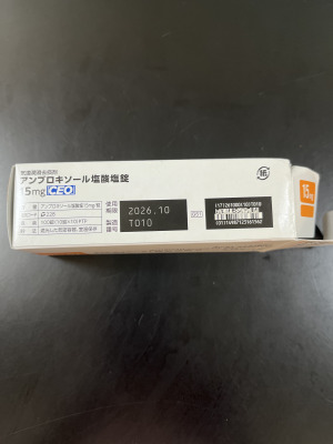 アンブロキソール塩酸塩錠15mg「CEO」