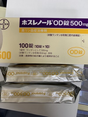 ホスレノールOD錠500mg