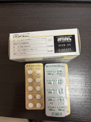 イスコチン錠100mg
