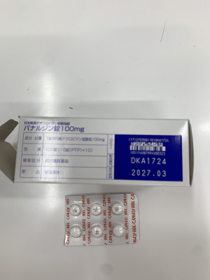 パナルジン錠100mg