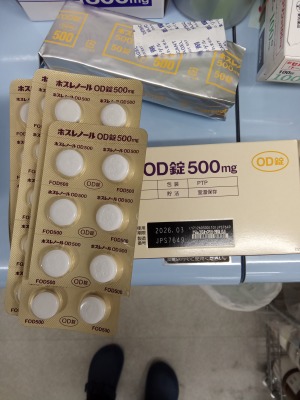 ホスレノールOD錠500mg