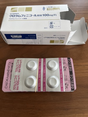 クロラムフェニコール腟錠100mg「F」