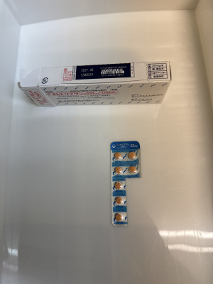 エレトリプタン錠20mg「DSEP」